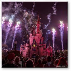 License: Cinderella's Castle with Fireworks