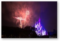 License: Disney Castle Fireworks and Light Show