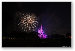 License: Disney Castle Fireworks and Light Show