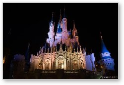 License: Cinderella's Castle at Night