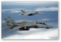 License: F/A-18 Hornet and F-14D Tomcat