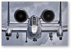 License: A-10 Thunderbolt II