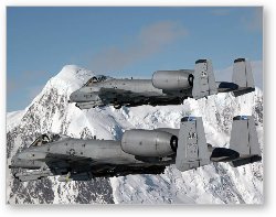 License: A-10 Thunderbolt II in formation