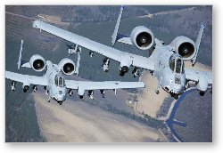License: A-10C Thunderbolt II's in formation