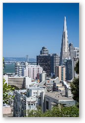 License: Downtown San Francisco