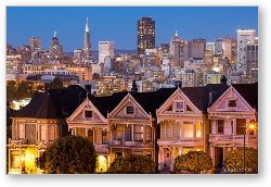 License: The Painted Ladies and San Francisco Skyline