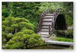 License: Moon Bridge - Japanese Tea Garden