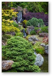 License: Cascade Waterfall - Japanese Tea Garden