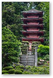 License: Pagoda in Japanese Tea Garden - Golden Gate Park