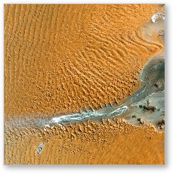 License: Namib Desert