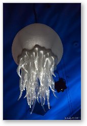 License: Giant Jellyfish (T-Rex restaurant)