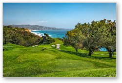 License: Torrey Pines Golf Course North 6th Hole