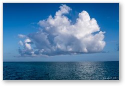 License: Giant Puffy Cloud over the Sea