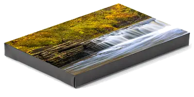 Canvas Art Print