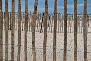 Beach Erosion Fencing