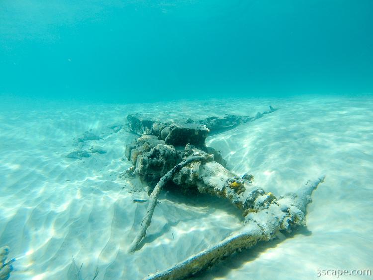 Wreckage of crashed Cessna in Peter Bay