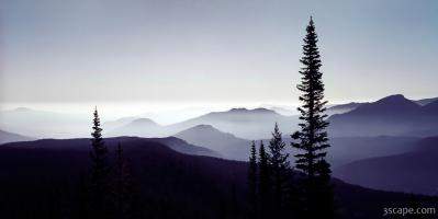 Colorado Mountain Mist
