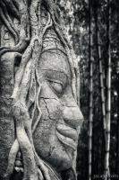 Ancient Buddha Stone Head