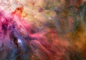 LL Ori and the Orion Nebula