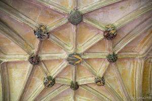 The Cloisters Ceiling