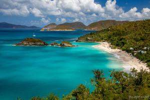 Blue Waters of Trunk Bay