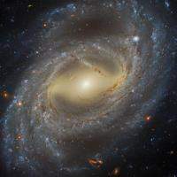 NGC 7329 Barred Spiral Galaxy in Tucana