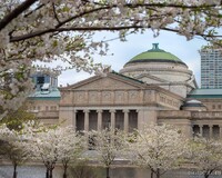 Museum of Science and Industry in Spring
