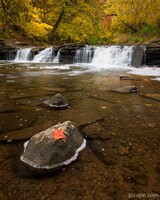 Fall Color in Waterfall Glen