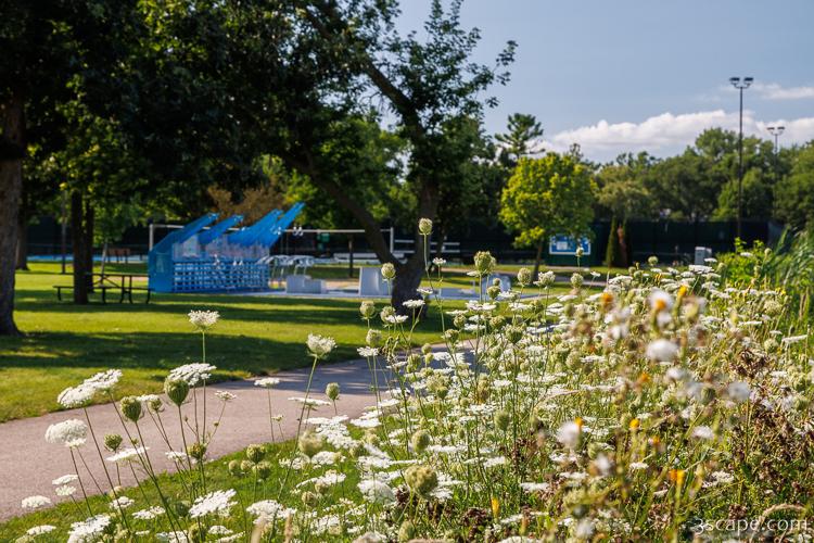 Fabbrini Park Flowers