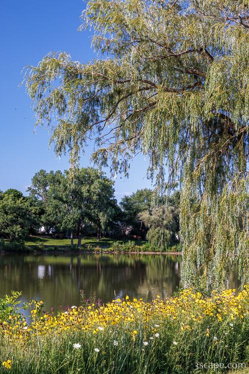 Fabbrini Park Pond 2