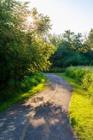 Poplar Creek Bike Trail