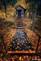 Spooky House in the Woods