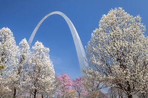 The Gateway Arch with Spring Blooms