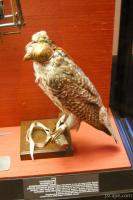 Bird Armor at Kunsthistorisches Museum