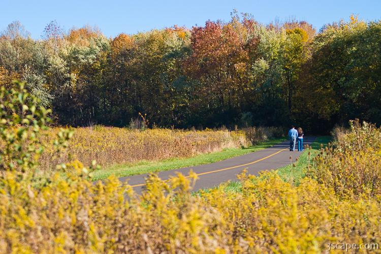 Busse Woods Schaumburg, IL Photograph by Adam Romanowicz