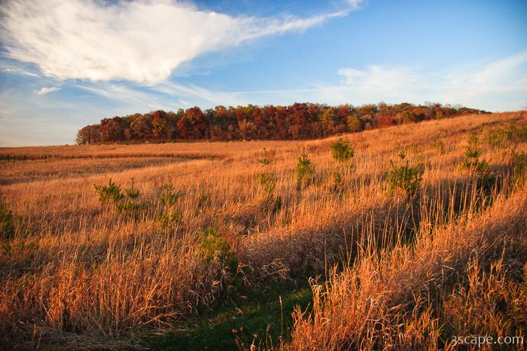 Galena's fall colors Photograph by Adam Romanowicz