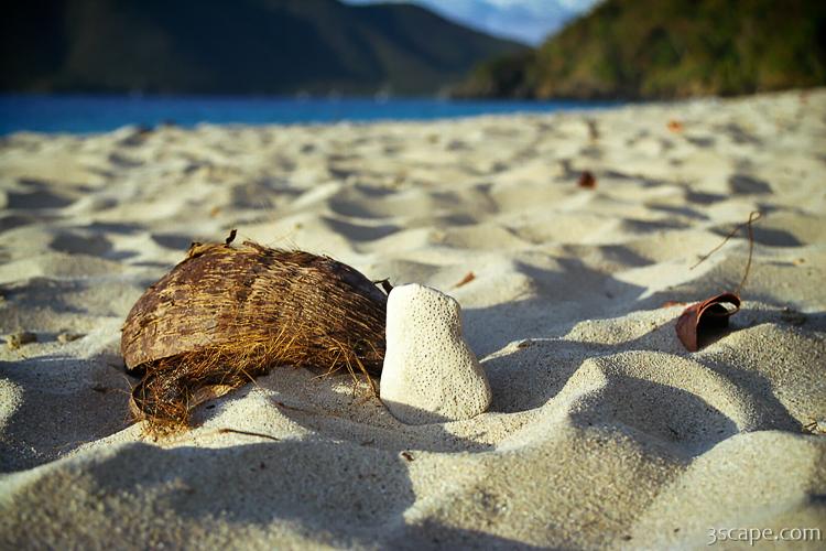 Coconut shell, Coral, Beach