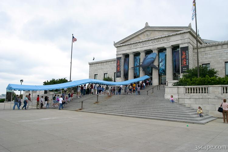 Lines at the Shedd for the new Wild Reef exhibit