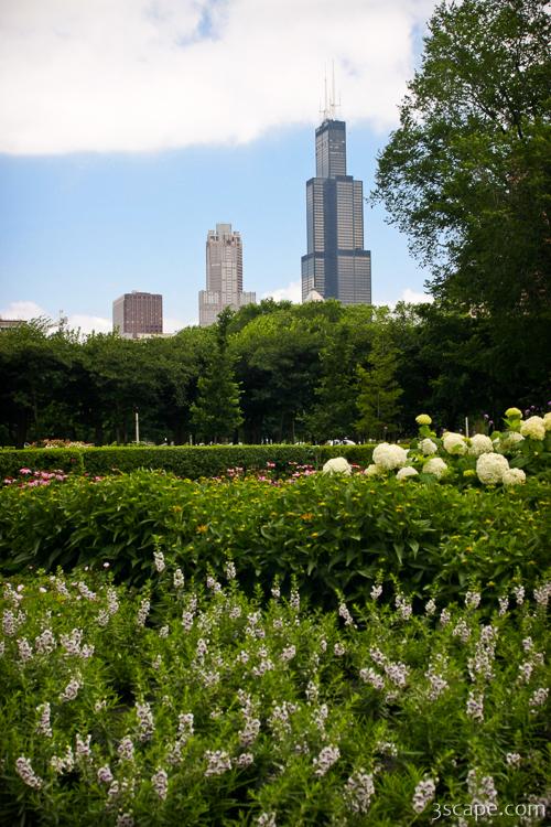 Sears Tower from Grant Park