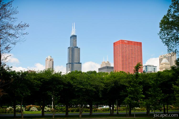 Sears Tower from Grant Park