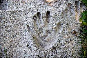Hand print in cement