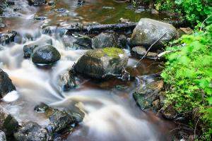 Stream from Munising Falls