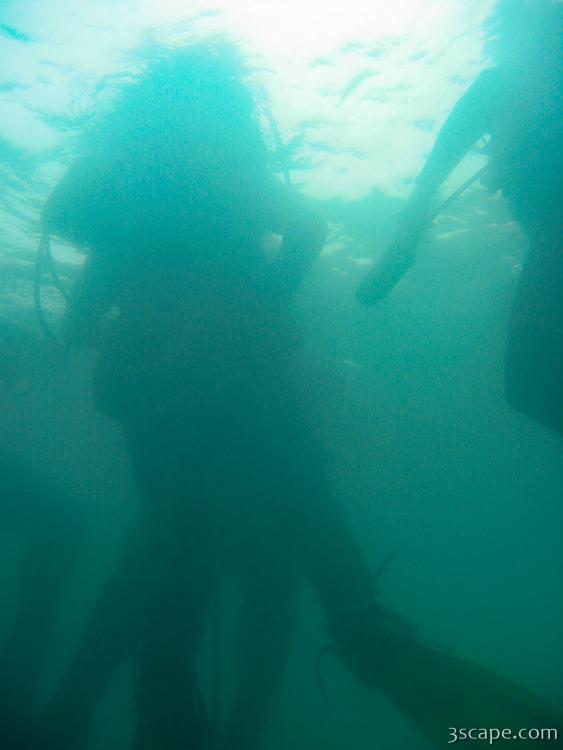 Divers above