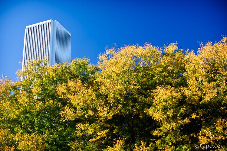 Beginning of fall colors in Chicago