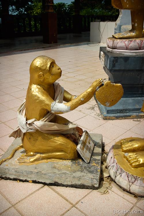 Monkey making an offering