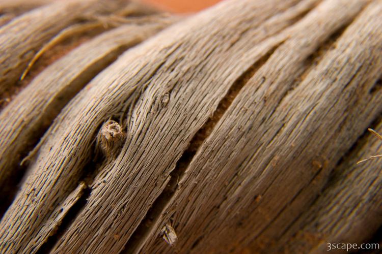 Macro of a tiny piece of drift wood
