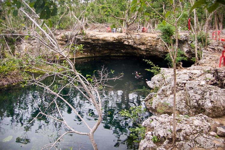 Garden of Eden Cenote Photograph by Adam Romanowicz