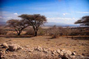 Serengeti terrain changes
