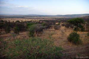 Room balcony view from Serengeti Sopa Lodge