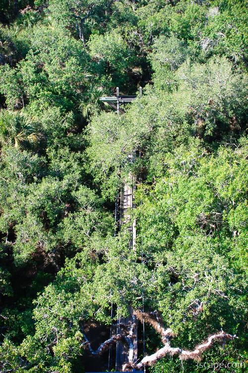 Looking down on the treetops, and canopy walk